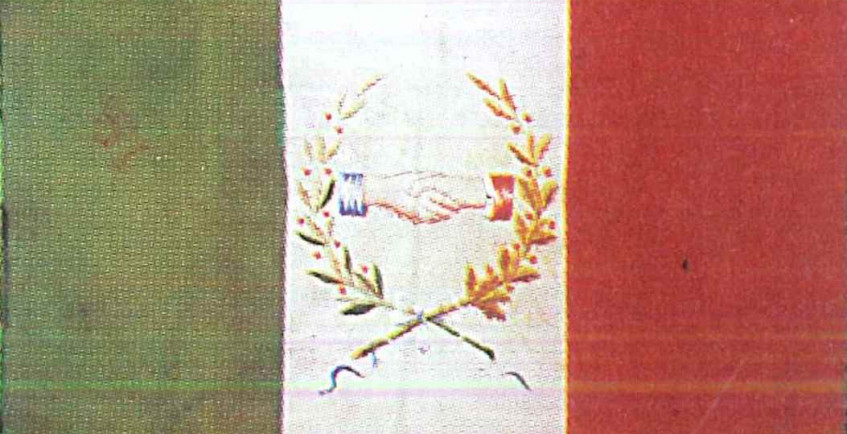 Bandiera Sociale Omegna.jpg